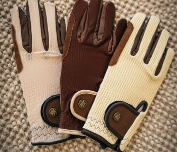For The Readheads 🐎🧡🐎_…_#16C components in Cognac, Ivory, and Tobacco, jumper & dressage ⚜️_…_#chestnuthorse #sixteencypress